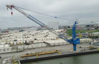 Expert Riser Dock Crane