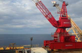 Portable Crane