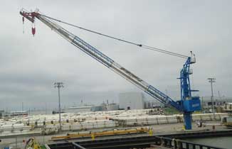 Expert Riser Dock Crane